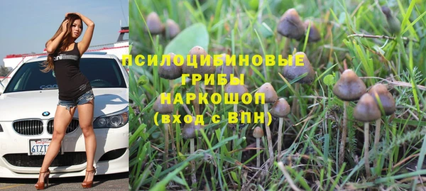 apvp Абаза