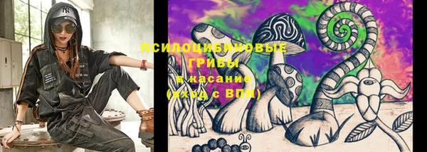 apvp Абаза