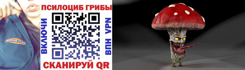 Псилоцибиновые грибы MAGIC MUSHROOMS  мориарти состав  Ессентукская 