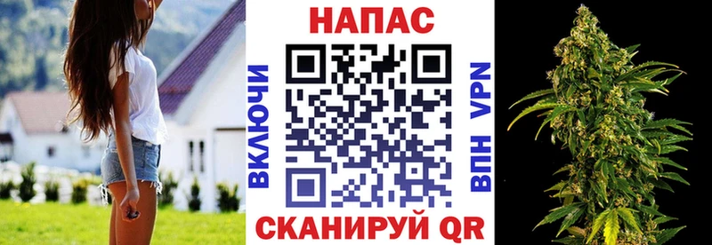 Марихуана гибрид  hydra вход  Ессентукская  где продают  